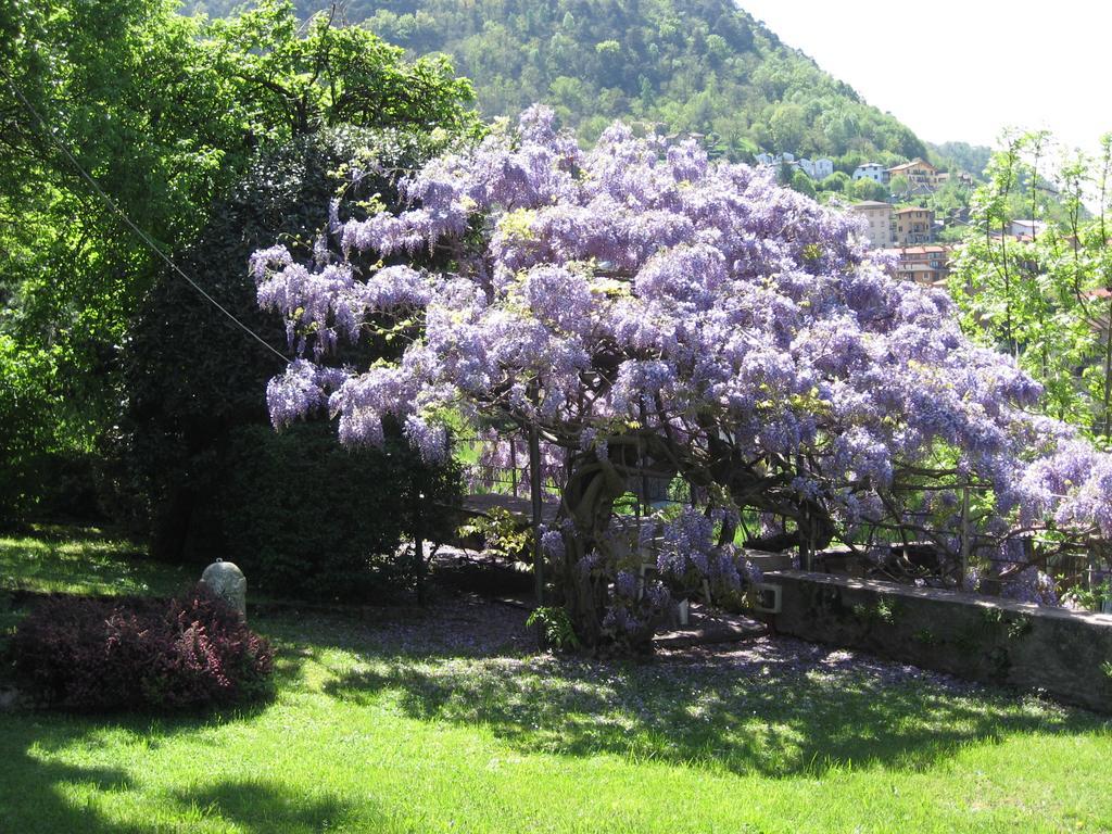 Casa Gibiseo Lägenhet Bellano Exteriör bild