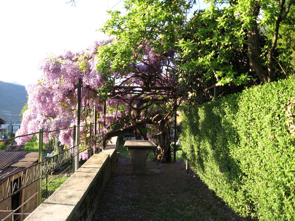 Casa Gibiseo Lägenhet Bellano Exteriör bild